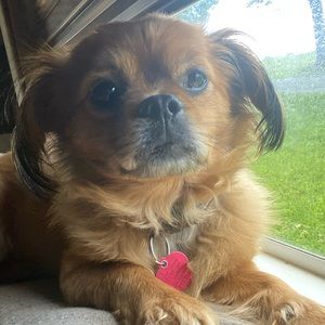 Meet your Posher, Scott